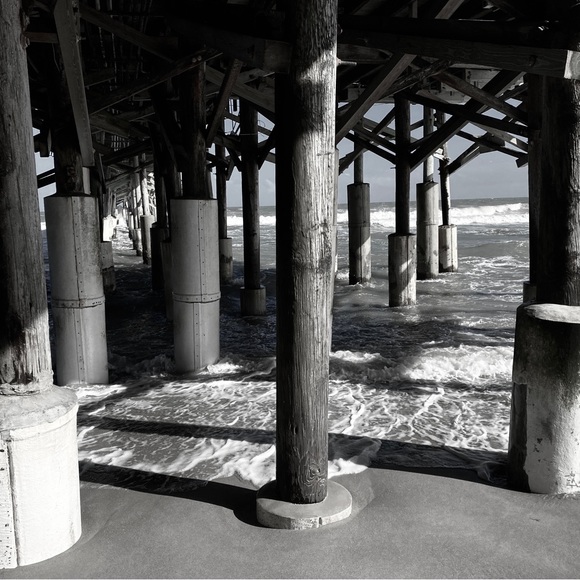 Meet your Posher, Will - Picture 6 of 9